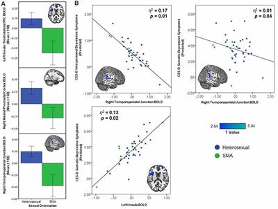 Social and Non-social Reward Processing and Depressive Symptoms Among Sexual Minority Adolescents